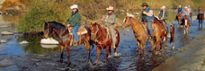 Horse Riding